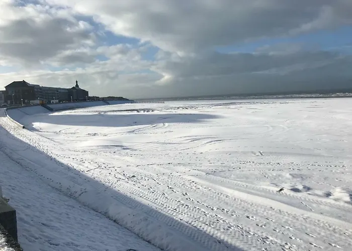 דירה A 30 M De La - Balcon - Proche Centre - Wifi -le Ceres 3 Berck